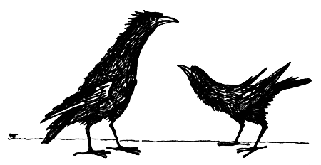 Я познаю мир. Поведение животных - i_092.png