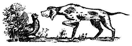 Я познаю мир. Поведение животных - i_172.png