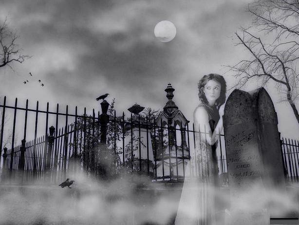 Судьба вампира (СИ) - i_001.jpg