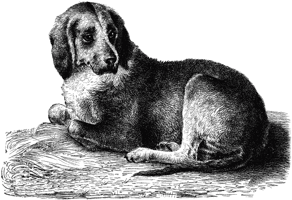 Сто тысяч франков в награду - amb036g.png