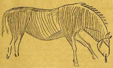 Кремень и кость - i_128.jpg