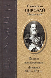 Дневники 1870-1911 гг. - автор Святитель Японский (Касаткин) Николай (Иван) Дмитр 