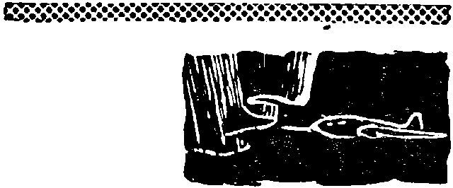 Тайна острова Ваули - i_002.jpg