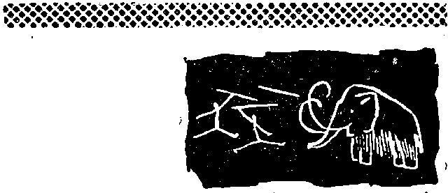 Тайна острова Ваули - i_003.jpg