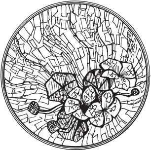 Цветы и деревья из яичной скорлупы и бисера - _16.png