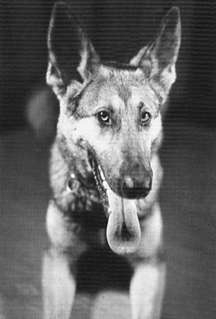 Герр Вольф - i_029.jpg