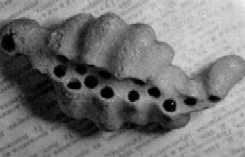 Божественный Космос - i_069.jpg