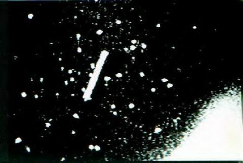 Наука Единства - AUTO_fb_img_loader_24