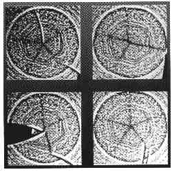 Наука Единства - AUTO_fb_img_loader_51