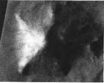 Сдвиг Эпох - i_034.jpg