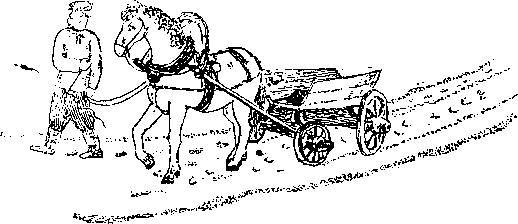 Один... два... два... - _30.jpg