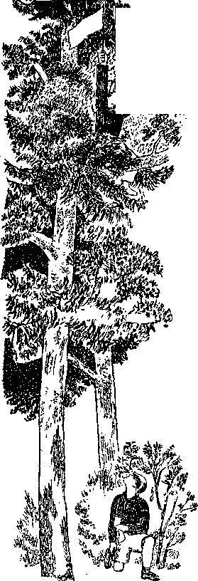 Один... два... два... - _38.jpg