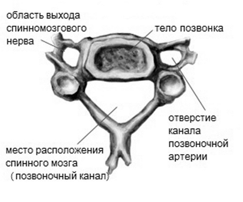 Семь минут для собственной шеи - i_002.jpg