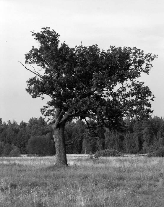 Рублевка и ее обитатели. Романтическое повествование - i_012.jpg