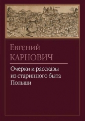 Очерки и рассказы из старинного быта Польши - автор Карнович Евгений Петрович 