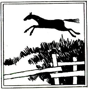 Рыцарь Фуртунэ и оруженосец Додицою - _1.jpg