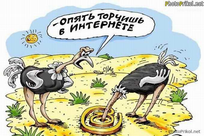 Игра слогами (СИ) - _9.jpg