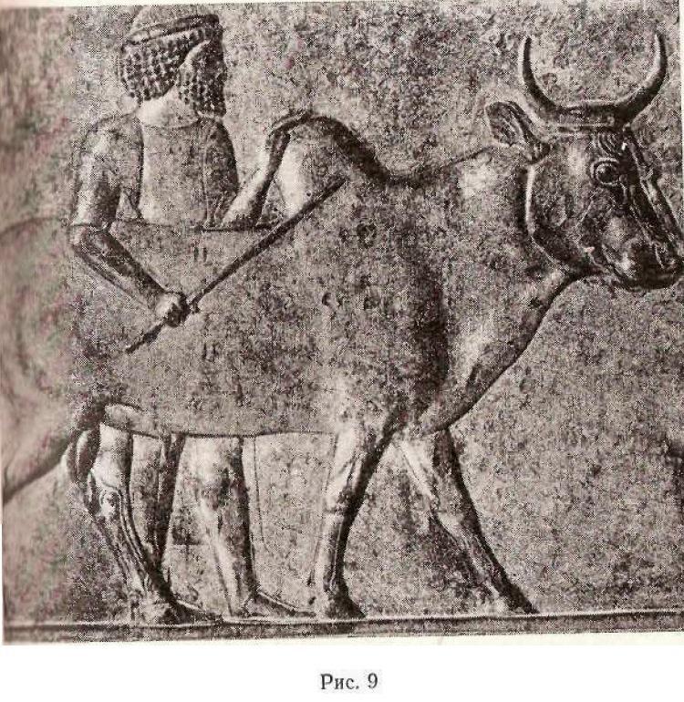 Пламя над Персеполем - i_009.jpg