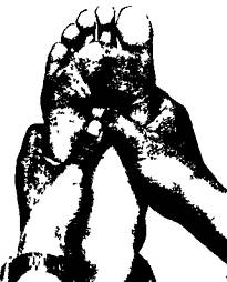 Здоровье на кончиках пальцев - _26.jpg