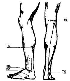 Здоровье на кончиках пальцев - _27.jpg
