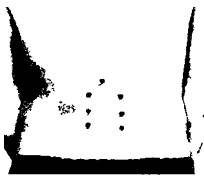 Здоровье на кончиках пальцев - _40.jpg