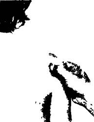 Здоровье на кончиках пальцев - _44.jpg