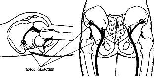 Здоровье на кончиках пальцев - _48.jpg