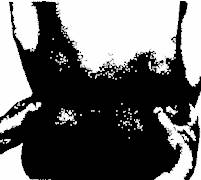 Здоровье на кончиках пальцев - _49.jpg