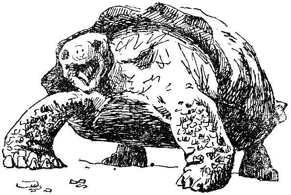 Змеи-гиганты и страшные ящеры - i_003.jpg