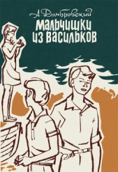 Мальчишки из Васильков. Повести - автор Домбровский Анатолий Иванович 