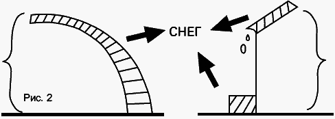 Виноград растет и у нас - _16.jpg