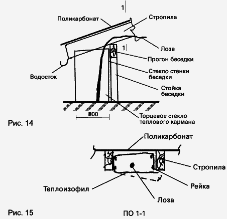 Виноград растет и у нас - _31.jpg