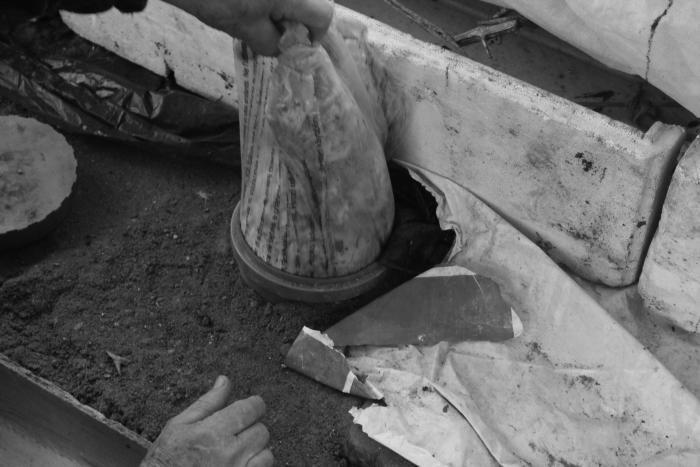 Виноград растет и у нас - _33.jpg