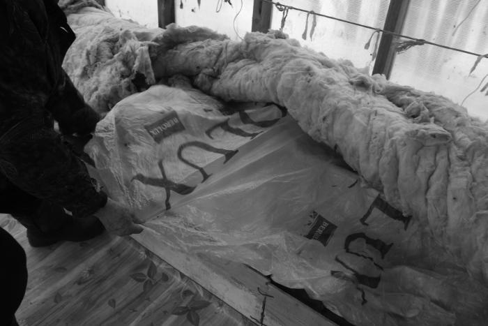 Виноград растет и у нас - _17.jpg