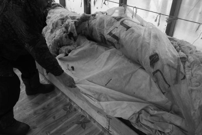 Виноград растет и у нас - _18.jpg