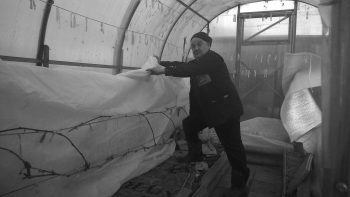 Виноград растет и у нас - _2.jpg