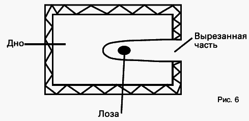 Виноград растет и у нас - _23.jpg