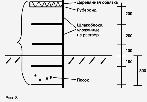 Виноград растет и у нас - _26.jpg