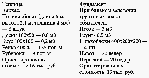 Виноград растет и у нас - _30.jpg