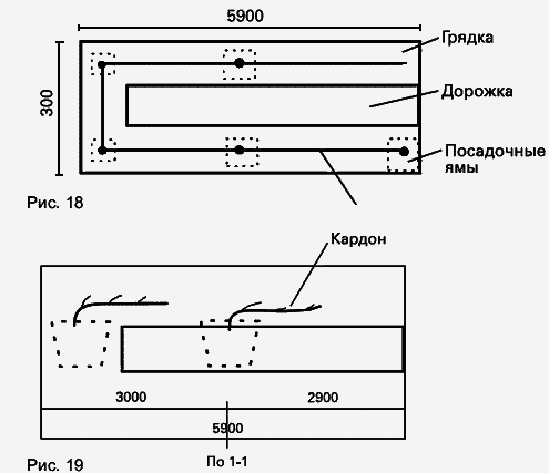 Виноград растет и у нас - _36.jpg