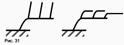 Виноград растет и у нас - _47.jpg