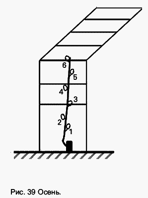 Виноград растет и у нас - _55.jpg
