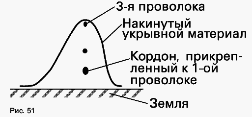 Виноград растет и у нас - _68.jpg