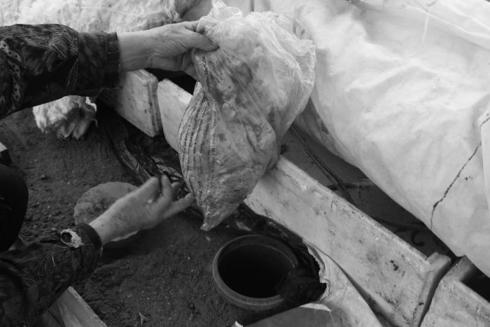 Виноград растет и у нас - _34.jpg