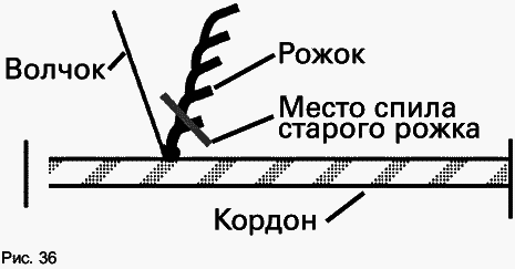 Виноград растет и у нас - _52.jpg