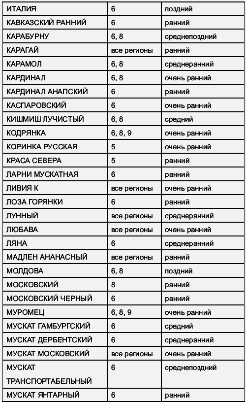 Виноград растет и у нас - _74.jpg