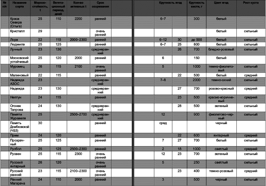 Виноград растет и у нас - _10.jpg