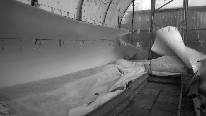 Виноград растет и у нас - _65.jpg