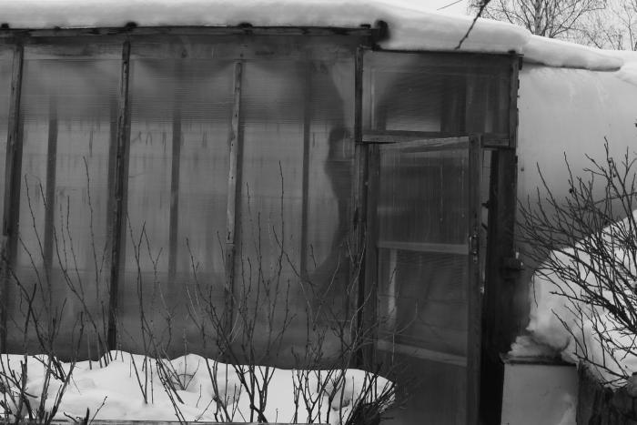 Виноград растет и у нас - _13.jpg