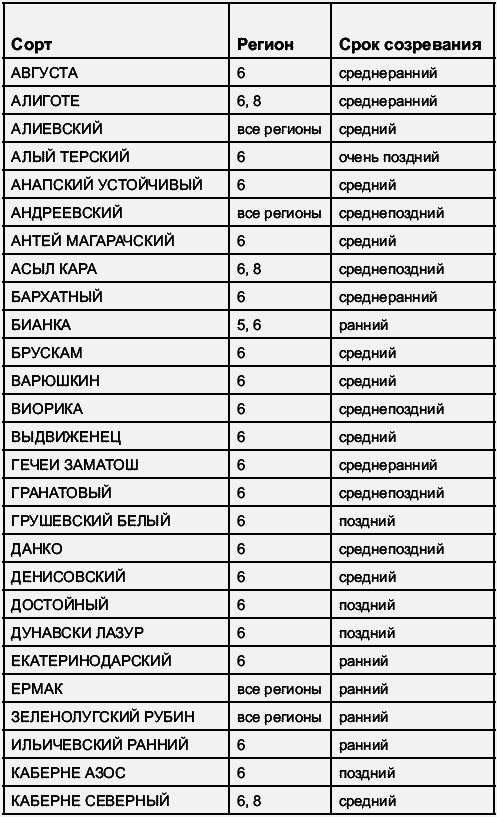 Виноград растет и у нас - _76.jpg